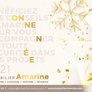 Excellente année Agence amarine