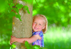 Une carte vitale pour le logement ? Soleil & prestige immobilier