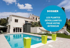 Revue bien vivre édition de l'automne / hiver 2017 Soleil & prestige immobilier