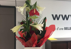 Merci ! Soleil & prestige immobilier