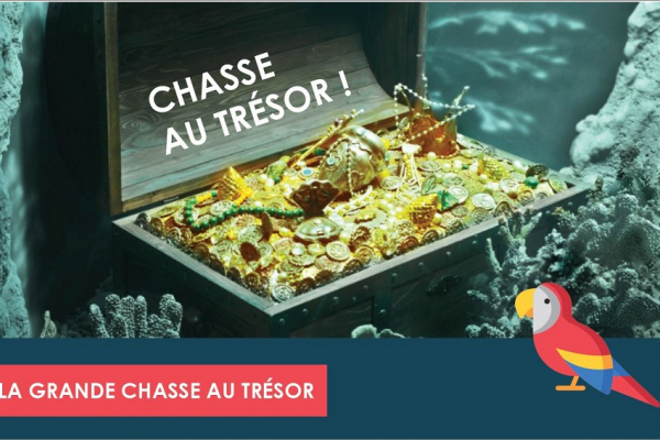 La chasse au trésor chez s'antoni c'est tout l'été !  Soleil & prestige immobilier