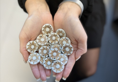 L’atelier cÉramique de thau crÉe les fÈves s’antoni immobilier Soleil & prestige immobilier