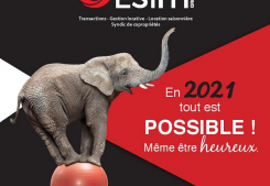Le groupe gesim vous souhaite une bonne année 2021 ! Groupe gesim