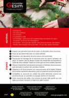 Fabriquez votre couronne de noël Groupe gesim