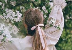 Decouvrez les destinations de reve pour vos vacances de printemps Groupe gesim