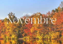 Focus sur les chiffres de novembre Groupe gesim