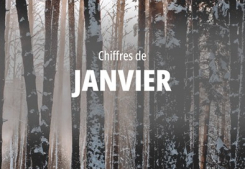 Focus sur les chiffres de janvier Groupe gesim