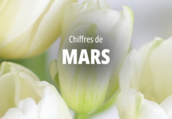 Focus sur les chiffres de mars Groupe gesim