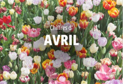 Focus sur les chiffres d’avril Groupe gesim