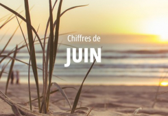 Focus sur les chiffres de juin Groupe gesim