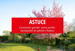 Comment garder votre jardin verdoyant en plein été Groupe gesim