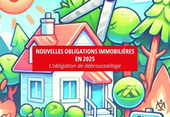 Obligations immobilières en 2025 Groupe gesim