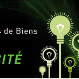 Participation aux  journées de formation avec ics decembre et janvier 2024 Gestimmo