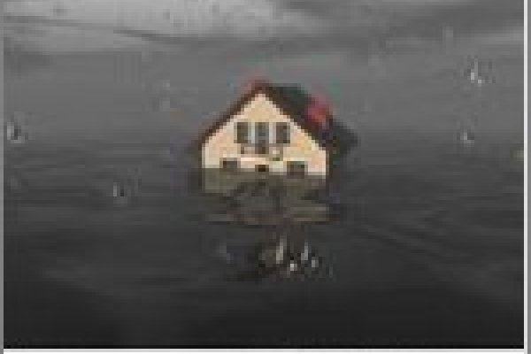 Comment réagir en cas de dégât des eaux 5'5 immo