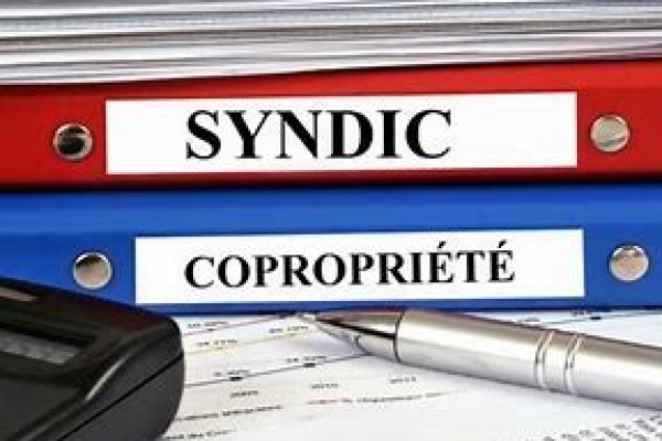 Quel est le rôle du syndic de copropriété ?  5'5 immo