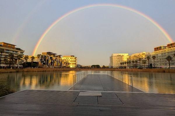 Port marianne : un quartier dynamique et prisé 5'5 immo