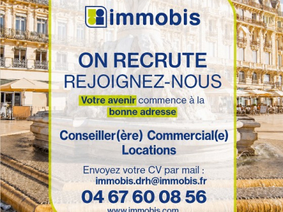 Conseiller commercial locations - cdd Immobis