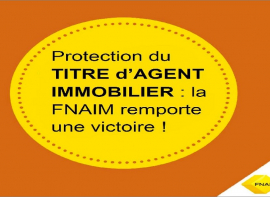 Reconnaissance du titre d'agent immobilier, la fnaim avance auprès du gouverneme Comptoir immobilier de france