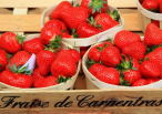 Fête de la fraise Eugène de graaf