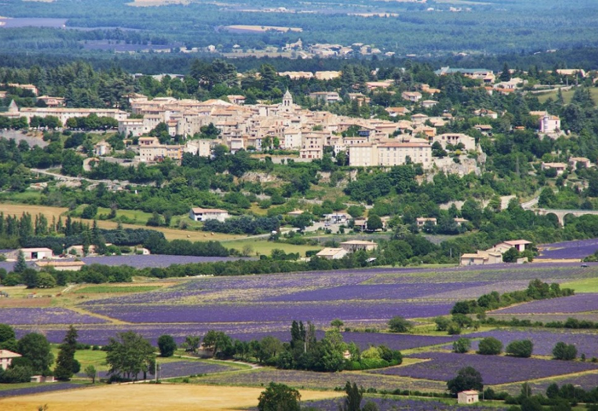 Fte de la lavande - sault : en attente covid 19 Eugne de graaf