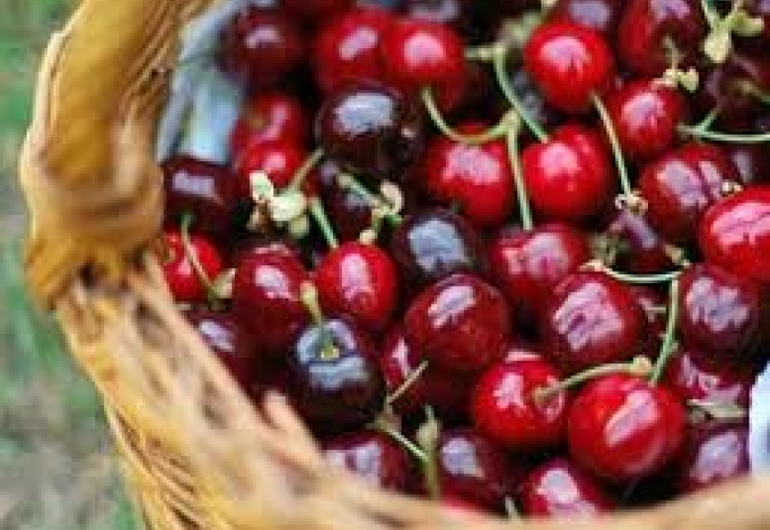 Fête de la cerise à mons-la-trivalle Eugène de graaf