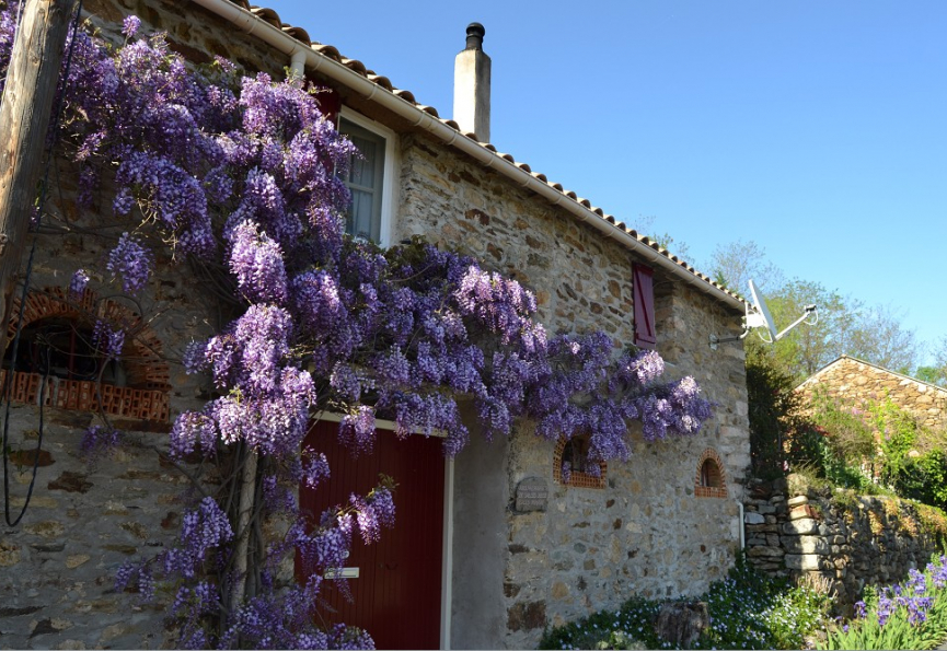 Une service et assistance 5***** ! Eugène de graaf
