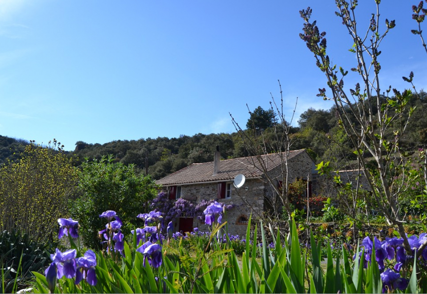 Une service et assistance 5***** ! Eugène de graaf