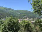 ........without hesitation we will be recommending your services. Eugène de graaf