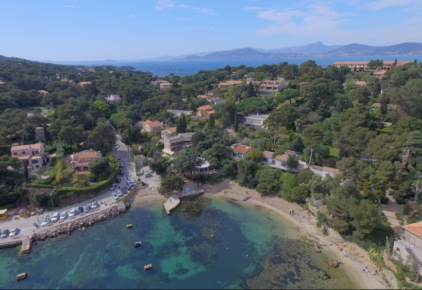 Dank je wel eugène ! Eugène de graaf