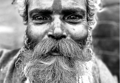 Nouvelle revue d'hiver disponible ! Imobook