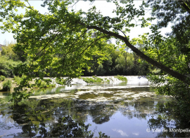 Les prix de l' immobilier dans l'herault - par hérault juridique | mars 2020 Argence immobilier