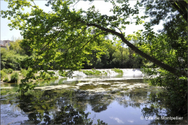 Les prix de l' immobilier dans l'herault - par hérault juridique | mars 2020 Argence immobilier