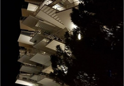 L'arbre blanc de montpellier élu plus bel immeuble au monde Inter-med-immo34