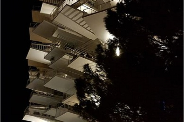 L'arbre blanc de montpellier élu plus bel immeuble au monde Inter-med-immo34