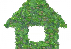 Avis google - monsieur aurélien h. Rise immo