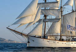 Le patrimoine maritime sétois a sa fête ! Sete immo