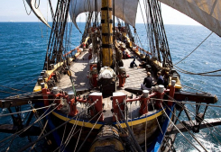 Le gÖtheborg fait escale À sÈte Sete immo