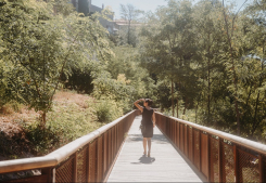 Le diagnostic immobilier concernant les termites Ms immobilier