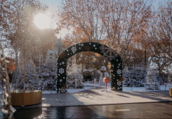 La féérie de noël embellit les allée paul riquet et le centre ville de béziers Ms immobilier