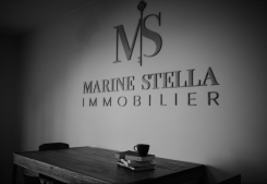 Experience alternance  Ms immobilier