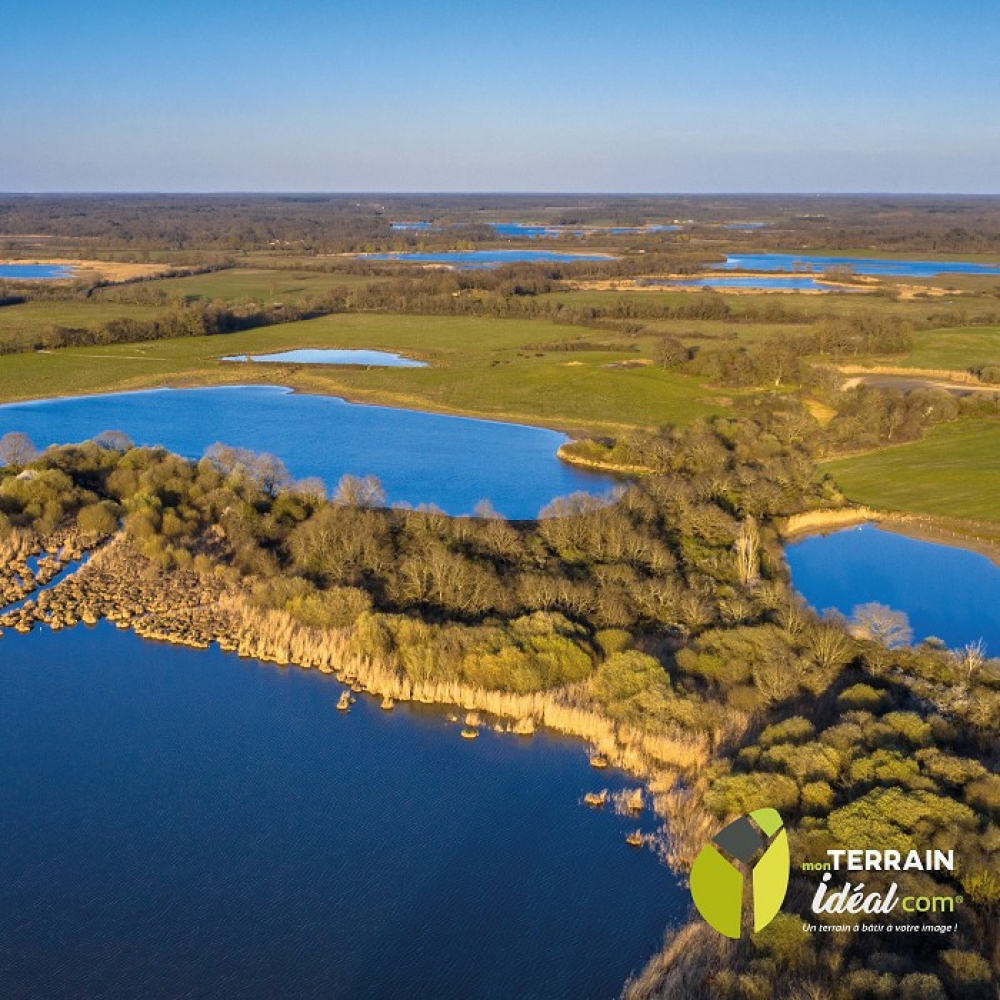 Acquérir un étang, on vous dit tout ! Mon terrain ideal