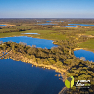 Acquérir un étang, on vous dit tout ! Mon terrain ideal