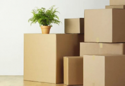 Les 5 erreurs qui coûtent cher…selon les déménageurs ! Lmimmobilier