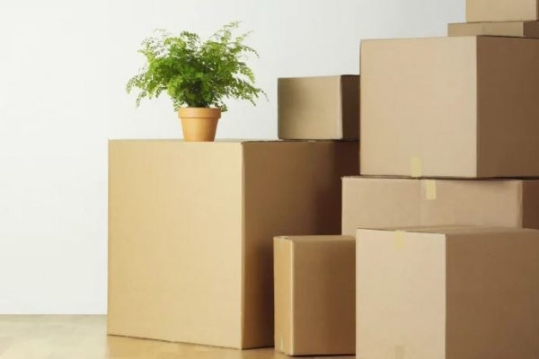 Les 5 erreurs qui coûtent cher…selon les déménageurs ! Lmimmobilier