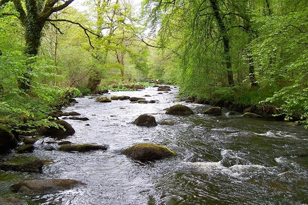 Venir vivre au faouët (56) et dans les communes voisines Reseau blain habitat