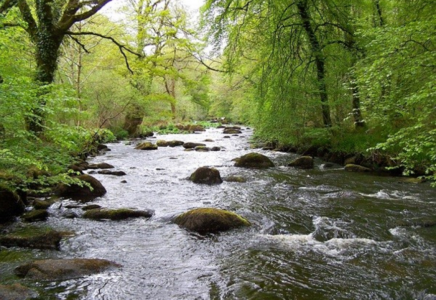 Venir vivre au faouët (56) et dans les communes voisines Reseau blain habitat