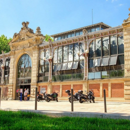 Les halles de narbonne Kiwi immobilier