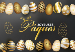 Nouvelle news Dufour & theret