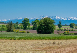 Le béarn & la bigorre: une qualité de vie exceptionnelle ! Log'ici morlaas