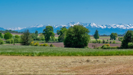 Le béarn & la bigorre: une qualité de vie exceptionnelle ! Log'ici morlaas